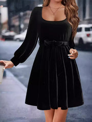 Velvet Long Sleeve A-Line Dress