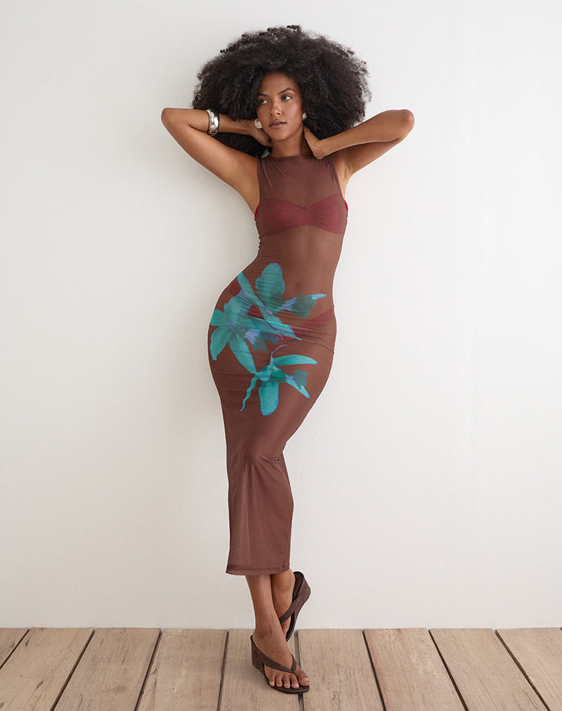 Fay Midi Dress in Brown with Blue Desert Rose